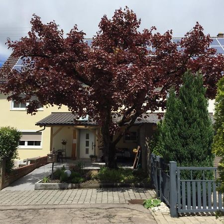 Apartmentvermietung Ingrid Bolkart - Voehlino 2 อิลเลอร์ทิสเซิน ภายนอก รูปภาพ